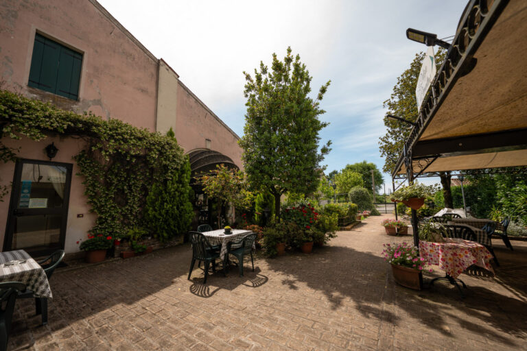 DSC02456-2